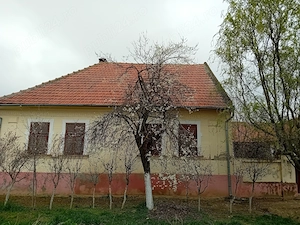 Proprietar, vând casă cu grădină mare în Hitiaș