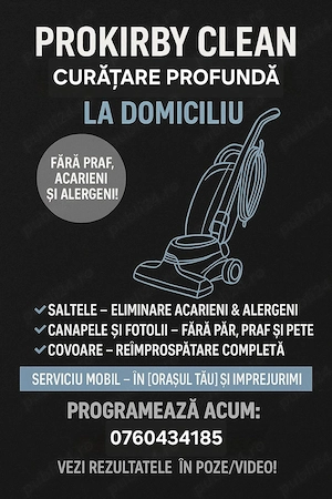 Curățenie profesională la domiciliu