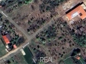 Teren de vanzare in Snagov - 981 mp