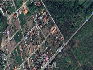 Teren de vanzare in Snagov - 981 mp - imagine 7