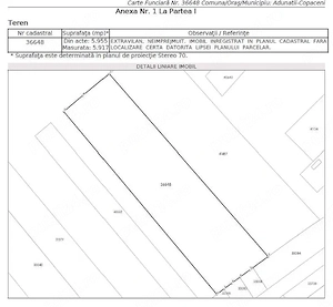 Teren 6.000 mp - Adunatii-Copaceni, Giurgiu - imagine 2