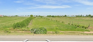 Teren 6.000 mp - Adunatii-Copaceni, Giurgiu - imagine 3
