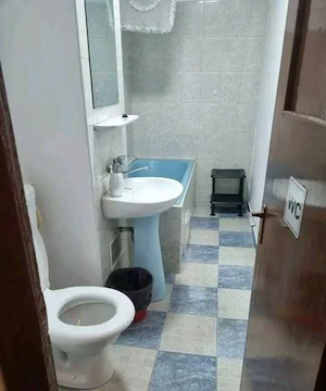 aparatorii patriei strada tomesti parter - imagine 5