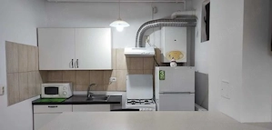 brancoveanu strada paltinisului bloc nou demisol - imagine 2