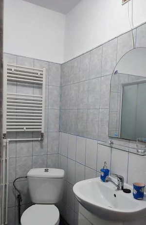 brancoveanu strada paltinisului bloc nou demisol - imagine 6