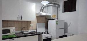 brancoveanu strada paltinisului bloc nou demisol - imagine 7