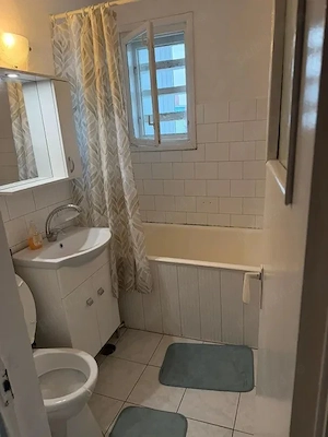 2 Camere Podu Ros - Aleea Rozelor  - imagine 7