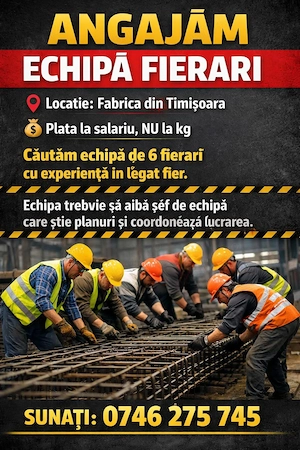 ECHIPA fierari- fabrica Timisoara