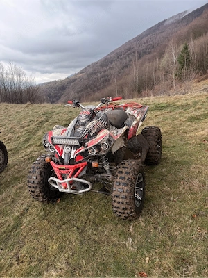 can am renegade 500 2011 - imagine 2