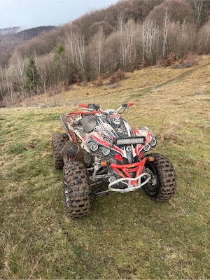 can am renegade 500 2011 - imagine 5