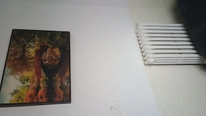 Inchiriez camera minigarsoniera 11mp cu toaleta si baie proprie langa AFI - imagine 8