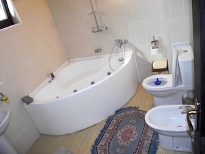 Domeniu privat 6 hectare cu lac și păstrăvărie | Vilă 6 dormitoare | Corbi, Argeș - imagine 5