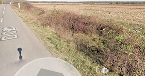 Proprietar vand loturi teren extravialan  - imagine 5