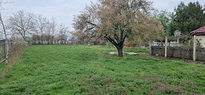 Vand casa com. Zavoaia, jud. Braila - imagine 7