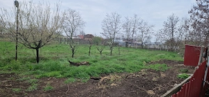 Vand casa com. Zavoaia, jud. Braila - imagine 8