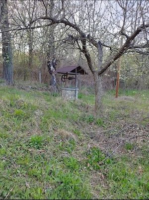 Cramă din piatră casă bătrânească beci din piatră livadă pomi - imagine 3