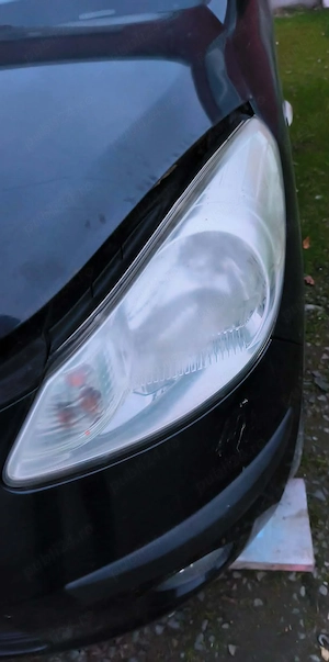 Polis faruri  - imagine 4