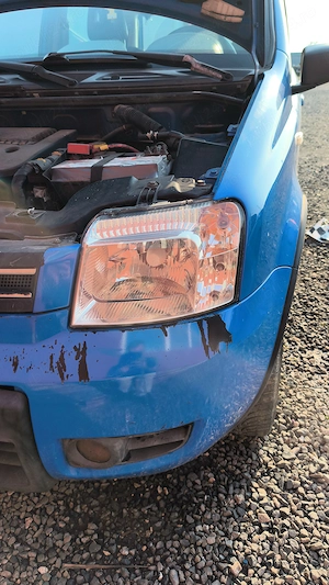 Polis faruri  - imagine 2