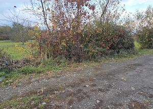Teren de vanzare IN NEGRESTI-OAȘ STRADA SALCAMULUI teren intravilan 2629 [ mp ] Front la drum 30 ml  - imagine 3