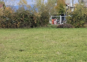 Teren de vanzare IN NEGRESTI-OAȘ STRADA SALCAMULUI teren intravilan 2629 [ mp ] Front la drum 30 ml  - imagine 5
