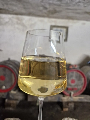 Vin de casă alb, natural   14 lei litru