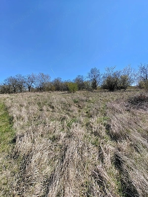 Livada sat Plaiesti com Moldovenești 