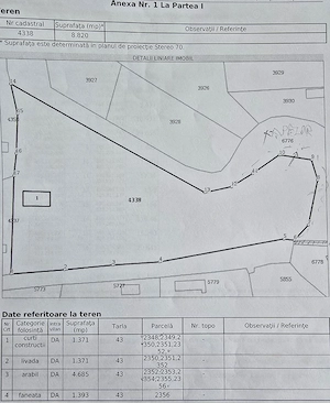 Teren intravilan, situat in comuna Miroşi, 8820 mp - imagine 2