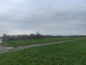 frumusani, teren de vanzare extravilan- direct proprietar - imagine 5