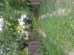 Vand teren intravilan Borcea fostul Pietroiu 790mp strada principala - imagine 2