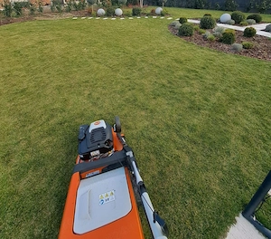 Întreținere curți și spații verzi