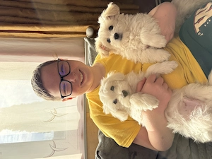  2 cățeluși Bichon masculi își caută familia iubitoare  - imagine 4