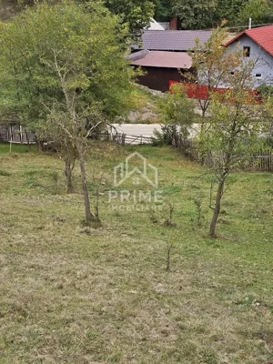 Teren intravilan, 5030 mp, Com. Meteș, Sat. Tăuți, Jud. Alba - imagine 2