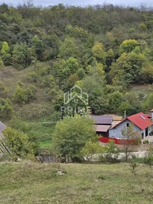 Teren intravilan, 5030 mp, Com. Meteș, Sat. Tăuți, Jud. Alba - imagine 3
