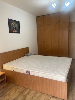 brancoveanu alunisului vultureni - imagine 2