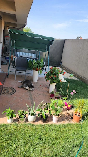 Casă tip insiruită- zona Cartierului Latin