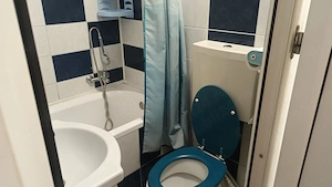 brancoveanu etaj 1 confort 3 alunisului - imagine 10