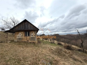 TEREN 34.000 MP | SERANI BIHOR - imagine 3