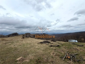 TEREN 34.000 MP | SERANI BIHOR - imagine 5