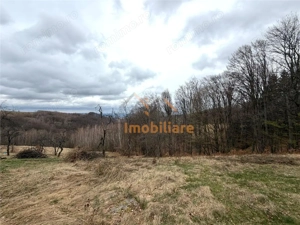 TEREN 34.000 MP | SERANI BIHOR - imagine 4