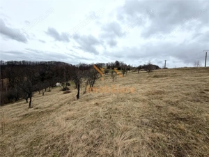 TEREN 34.000 MP | SERANI BIHOR - imagine 6