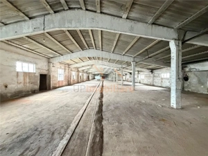 HALE INDUSTRIALE | CLADIRE BIROURI | TEREN 7000 MP | GHEGHIE BIHOR - imagine 8