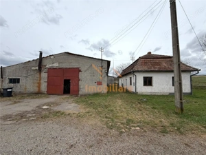 HALE INDUSTRIALE | CLADIRE BIROURI | TEREN 7000 MP | GHEGHIE BIHOR - imagine 3