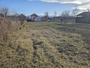 Schimb vand casa cu etaj plus teren hateg - imagine 5