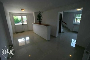 vitan auchan energeticienilor - imagine 5