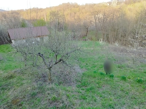 Cramă din piatră casă bătrânească beci din piatră livadă pomi fructiferi  - imagine 6