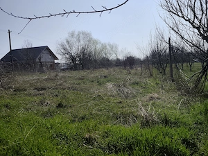 Vand 1000 mp intravilan in Carpinis, Timis