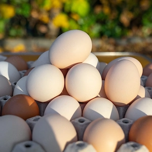 Vând ouă de țară 