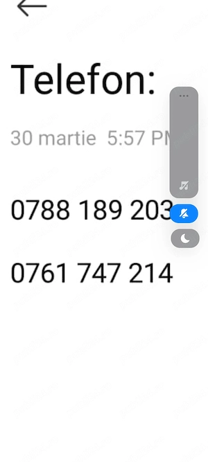 Doamnă însoțitoare pentru mama mea