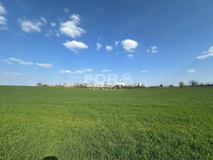 Teren intravilan de vanzare 1000 mp zona Aeroport Oradea - imagine 2