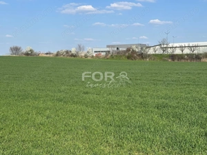 Teren intravilan de vanzare 1000 mp zona Aeroport Oradea